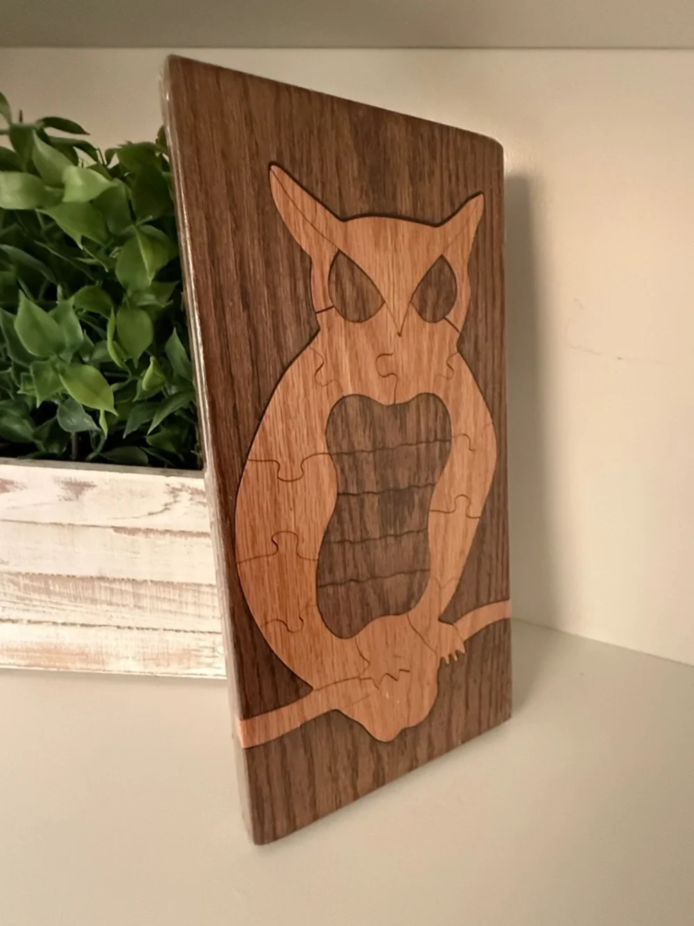 Acorn Unlimited Handcrafted Wooden Owl Puzzle Wall Art - Two-Tone Oak Wood NEW